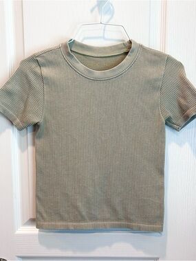 Pink Rose Women’s Ribbed Short Sleeve Cropped Sage Green Stretchy Sz. MD Top